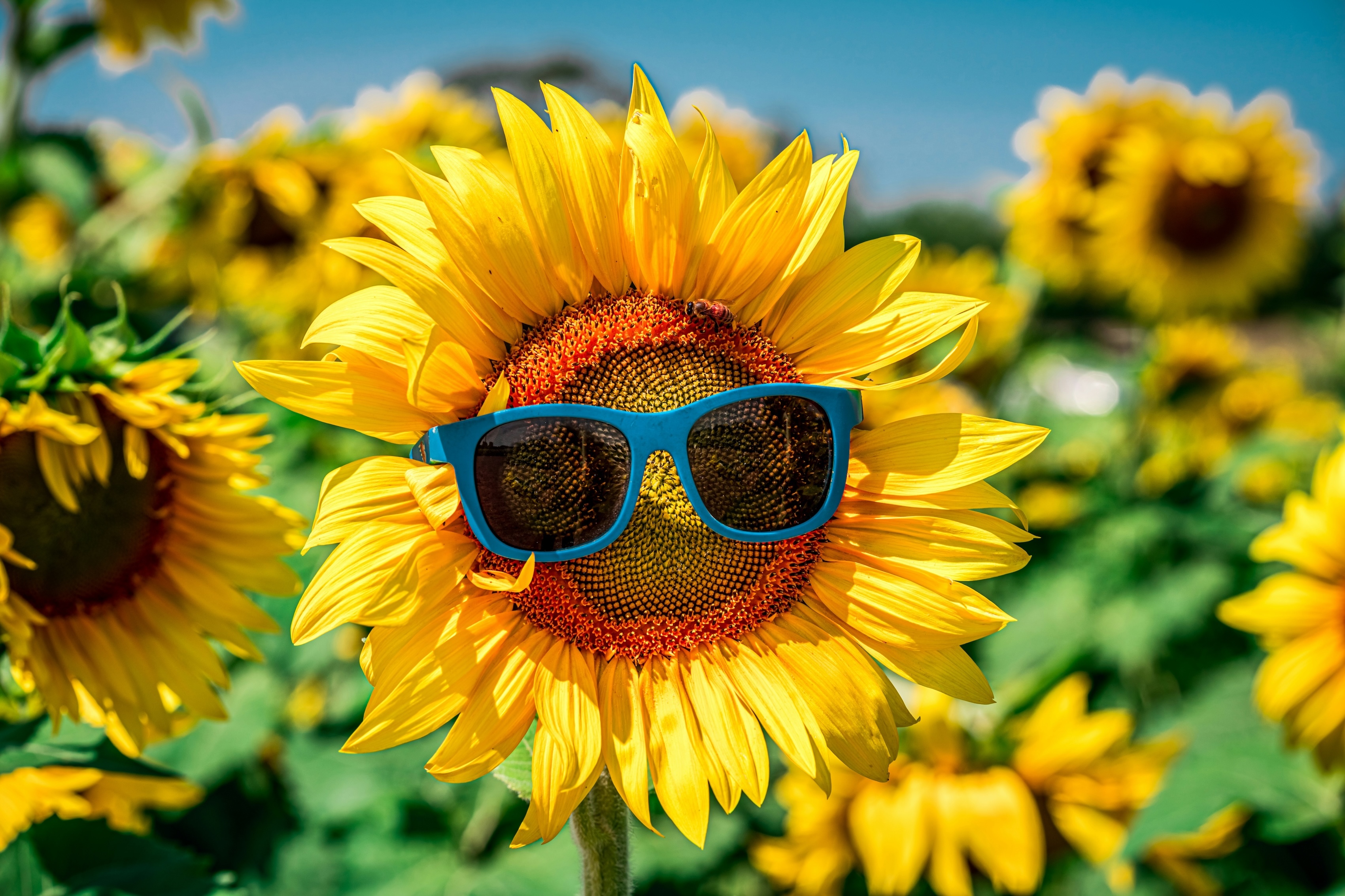 How to Stay Cool and Hydrated in the Heat